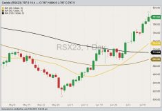 ICE November 2023 canola with 20-, 50- and 100-day moving averages. (Barchart)
