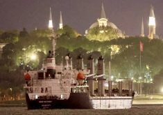 A Belize-flagged bulker, carrying grain under UN&#8217;s Black Sea Grain Initiative, transits the Bosphorus at Istanbul on May 12, 2023. (File photo: Reuters/Yoruk Isik)
