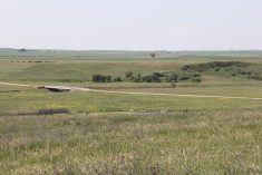 (Geralyn Wichers photo)
