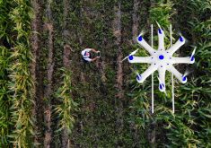 Editor&#8217;s column: Here’s to Prairie ag innovators 