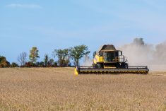 Your combine monitors constantly give feedback, but farm owners or managers often don’t share with family member employees how they’re meeting expectations.