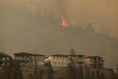 The McDougall Creek wildfire burns outside West Kelowna, B.C. on Aug. 18, 2023. (Photo: Reuters/Chris Helgren)