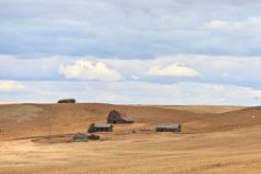 Prairie farmland rentals rates difficult to track