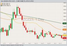 CBOT December 2023 corn with 20-, 50- and 100-day moving averages. (Barchart)
