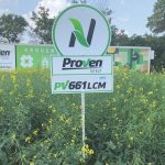 PV 661 LCM is Proven Seed’s newest LibertyLink canola hybrid, which provides yield performance in all growing zones across Western Canada.