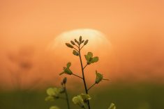 (Brett Holmes Photography/iStock/Getty Images)
