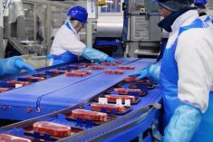 (HiltonFoods.com video screengrab)
