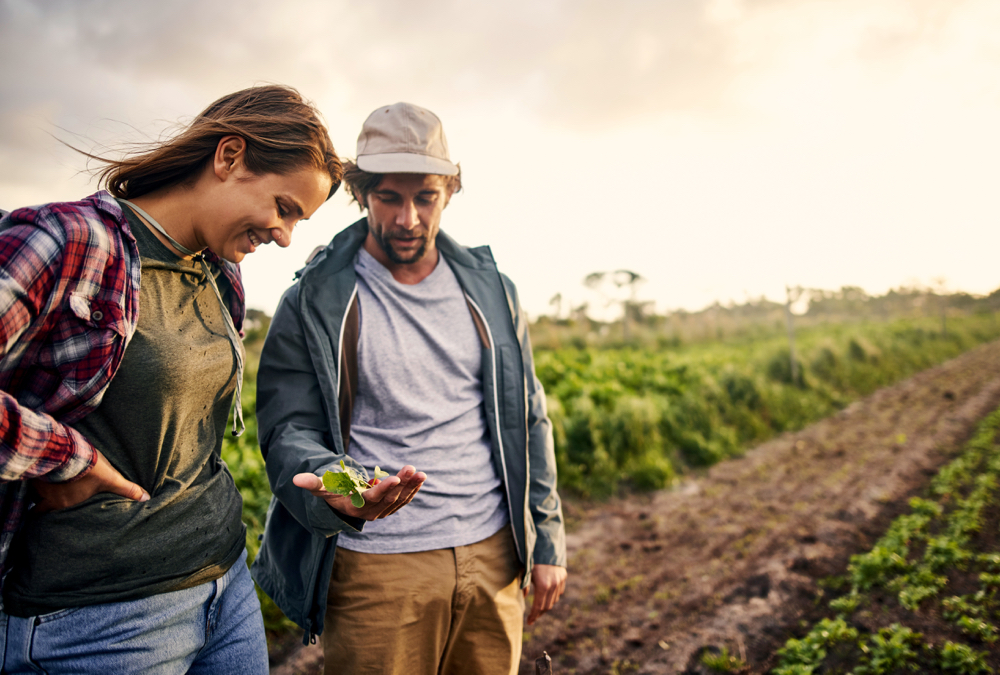 Overall, biologicals tend to be more effective in marginal soils and under stressful conditions. When talking about crop types, vegetables and pulse crops have been shown to have a high response to biologicals while cereals generally have a moderate response.