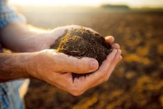 Meet your Soil Champions