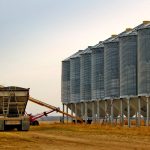Grain storage