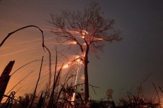 A tract of Amazon jungle burns as it is cleared by farmers at Rio Pardo in Brazil&#8217;s Rondonia state on Sept. 15, 2019. (File photo: Reuters/Ricardo Moraes)
