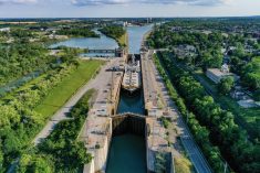 File photo of locks on the Welland Canal at Allanburg, Ont. (Jimfeng/iStock/Getty Images)