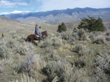 Andrea taking a ride through the high range to see if there are any cattle left. It won't belong before the snow arrives.