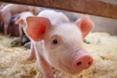 (Shadowinternet/E+/Getty Images)
