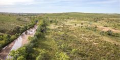 AIMCo has acquired a portfolio of 3 million acres of pasture and arable land in Western Australia. Photo: AIMco.ca