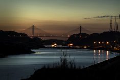 (MiCanalDePanama.com)
