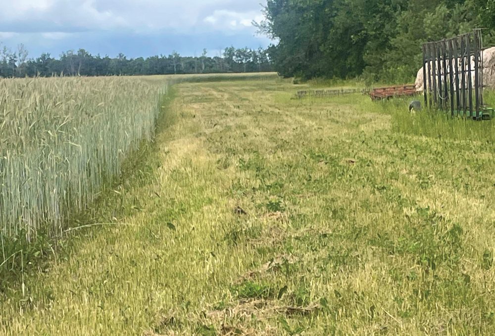 John Hardman says buffer strips allow him to turn heavy equipment around without compacting the soil where crops are growing.