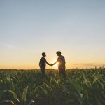 Careful division of farm assets