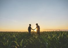 Careful division of farm assets