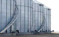 Periodic summertime inspections of a bin are recommended to confirm the roof is free of debris and the filler cap is functioning properly. Before making the climb, producers should make sure bin stairs are secure and safe.