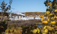 ethanol production plant in western manitoba