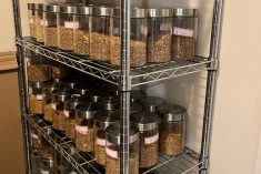 samples of durum wheat in jars on shelves