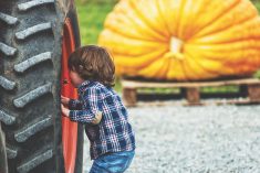 small child peering into hub of back tractor wheel