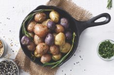 A “little potato” crop at six to nine tons an acre in central Alberta does not need the same extra moisture as seed potatoes and can be planted directly into standing canola stubble in the spring.