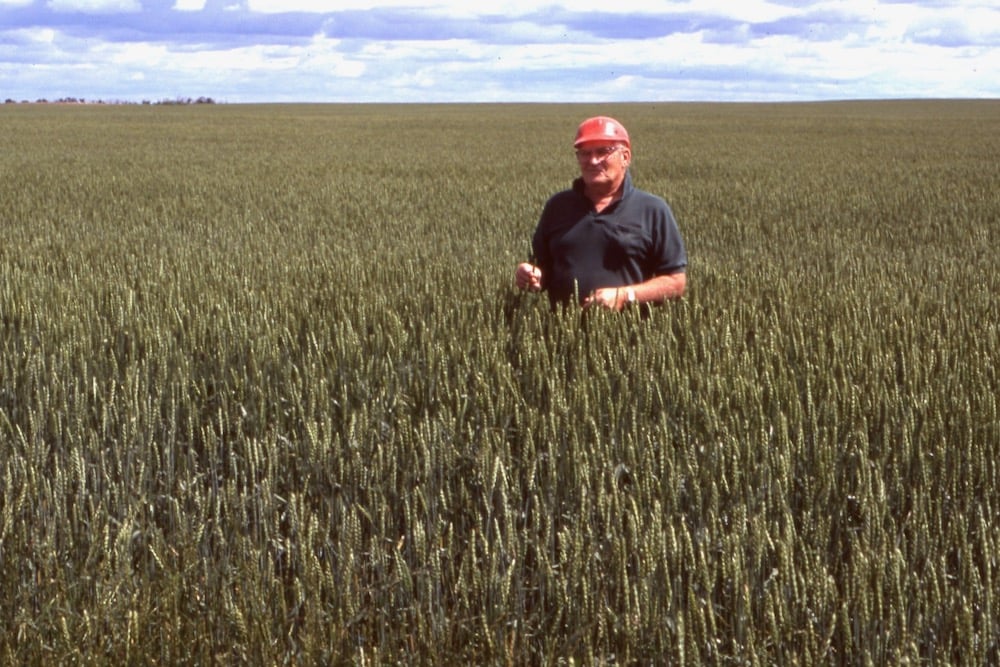 man wearing a hard hat in a wheat field