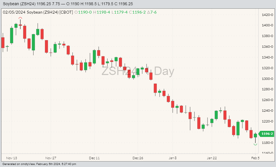 CBOT soybeans ZSH24 on Feb. 5. (Barchart)
