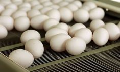 Feds plan to invest in processing projects