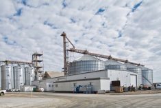 Louis Dreyfus&#8217; oilseed processing plant at Yorkton, Sask. (LDC.com)
