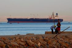 FILE PHOTO: People walk on the beach as a container ship crosses the Gulf of Suez towards the Red Sea before entering the Suez Canal, in El Ain El Sokhna in Suez, east of Cairo, Egypt April 24, 2017. Picture taken April 24, 2017. Photo: Reuters/Amr Abdallah Dalsh