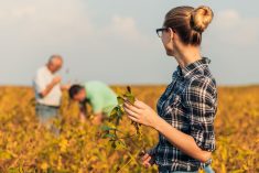 Family members’ unspoken expectations can turn out to be “the silent killer” of a family farm, FCC’s Tim Lang says.