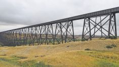 At Lethbridge just one year in the past 10 booked above-normal precipitation during its growing season.
