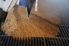 (RGtimeline/iStock/Getty Images)
