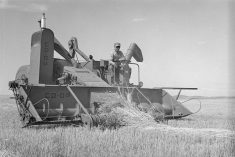 A combine harvests wheat in September 1952 at the Matador Co-operative farm in what's now the RM of Lacadena, about 65 km north of Swift Current, Sask.