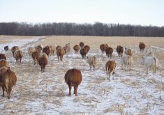 Prairie forecast update: Storms roll in