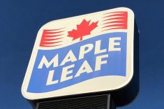 File photo of signage outside Maple Leaf Foods’ Lagimodiere Boulevard plant in Winnipeg. (Dave Bedard photo)