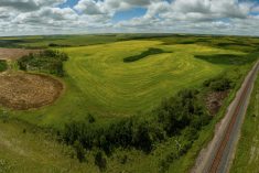 aerial photo of irregularly shaped manitoba cropland