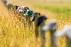 One marker in a farmer’s life should be to set up a succession plan that keeps family bonds intact.