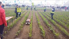 A concept robot participates in the Field Robot Event at DLG Feldtage in Germany.