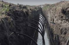 Water lines are trenched in on the field to feed drip lines placed at the root level.