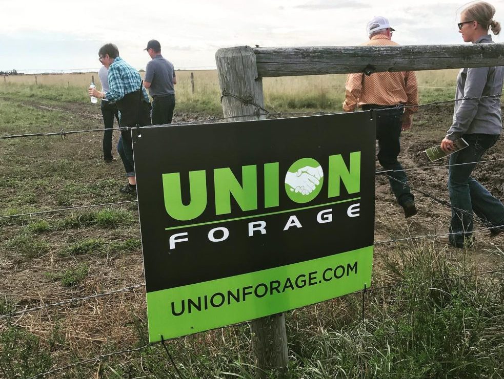 Photo: Union Forage/Facebook
