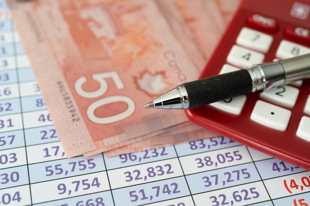 Charting your expenses by line items over the past three to five years can clarify your cash flow requirements.