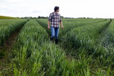 The younger generation on the farm needs to know whether there is ever going to be an opportunity for them to assume leadership of the operation.