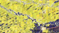A May 2022 RADARSAT Constellation Mission satellite image of fields in Manitoba, including many affected by flooding. Adoption of satellite imagery in agriculture is seen to have lagged compared to other sectors.