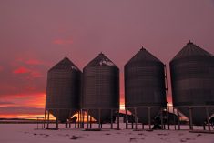 Sudden shifts from springlike temperatures to bone-chilling cold this winter called for a check on your stored grain, Anne Kirk says.