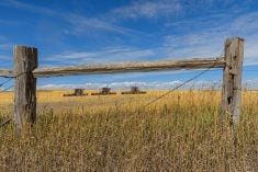 Farmers, farm families and farm workers get more energy when they are clear about their roles, skills and passion being in alignment.