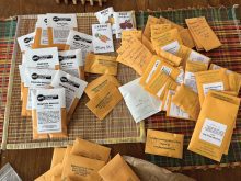 More seeds than I need from Seedy Saturday -- but good for sharing.